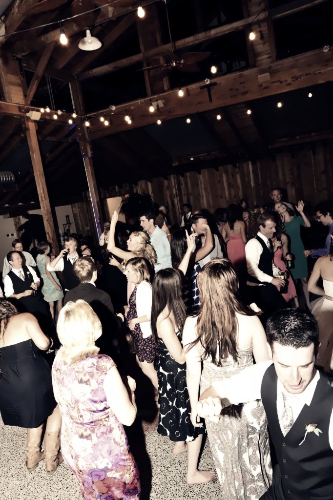 dj, wedding, poulsbo, bainbridge island, kiana lodge, stender, music masters