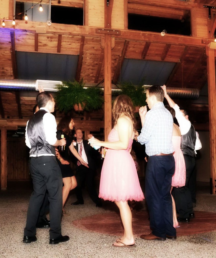 dj, wedding, poulsbo, bainbridge island, kiana lodge, stender, music masters