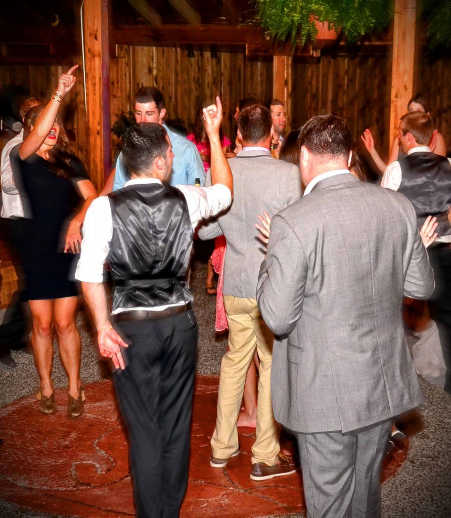 dj, wedding, poulsbo, bainbridge island, kiana lodge, stender, music masters