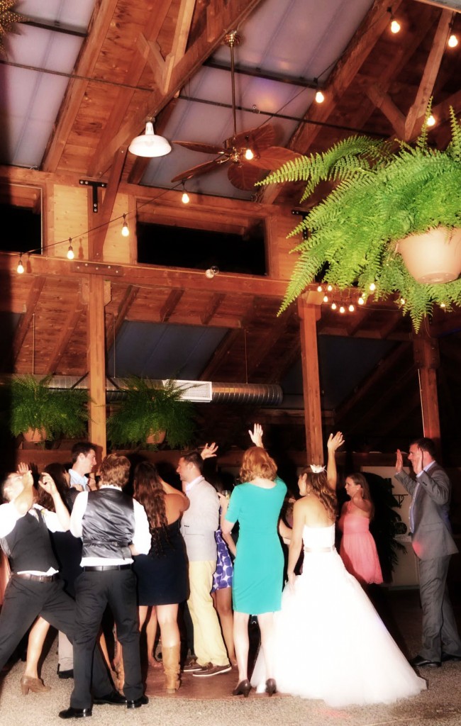 dj, wedding, poulsbo, bainbridge island, kiana lodge, stender, music masters