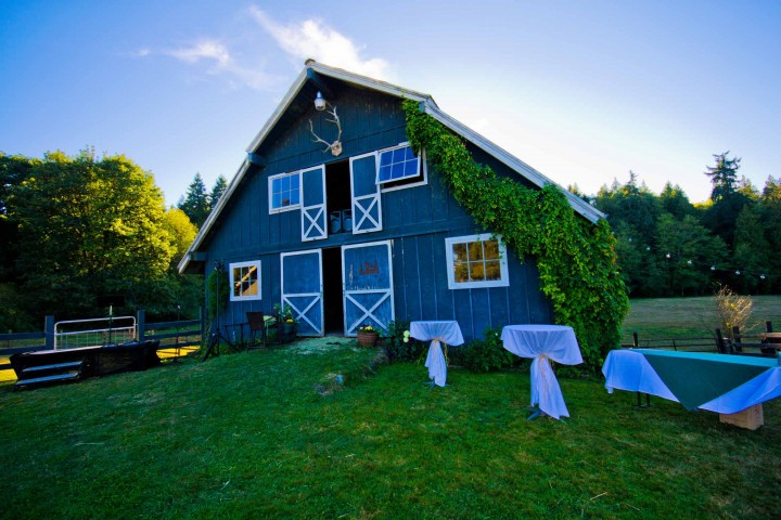 Music Masters Bainbridge Island Downtown Association Frogs on the Rock Boundy Farm